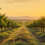 Ganadería y lechería en la evolución del agro