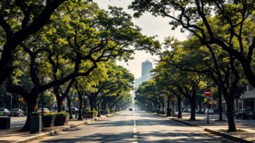 Immagine che rappresenta il caldo intenso a São Paulo