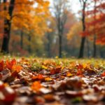 Rituales de equinoccio en armonía con la naturaleza