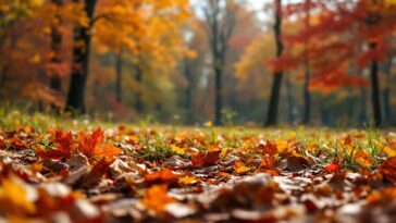 Rituales de equinoccio en armonía con la naturaleza